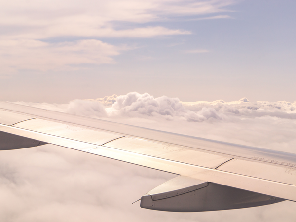 Testimonial Lufthansa